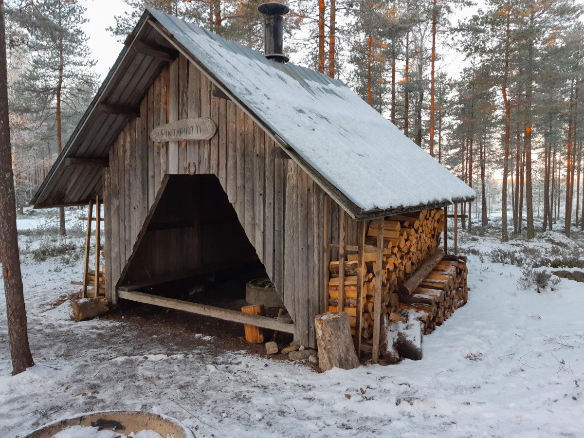 Lumisessa mäntymetsässä oleva puinen laavu kuvattu etuviistoon, laavun seinän vierustalla on polttopuita ja oviaukon yläpuolella puinen kyltti, jossa lukee Pintapirtti.