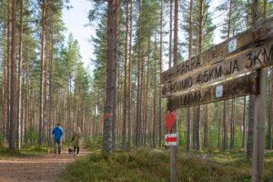 Hiihtomajalta lähtee eri mittaisia lenkkejä kangasmetsän siimekseen.