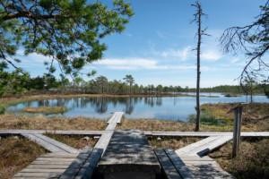 Taukopaikka Kauhalammen rannalla, etualalla puiset penkit ja pöytä, takaalalla pitkospuut ja vesistö.