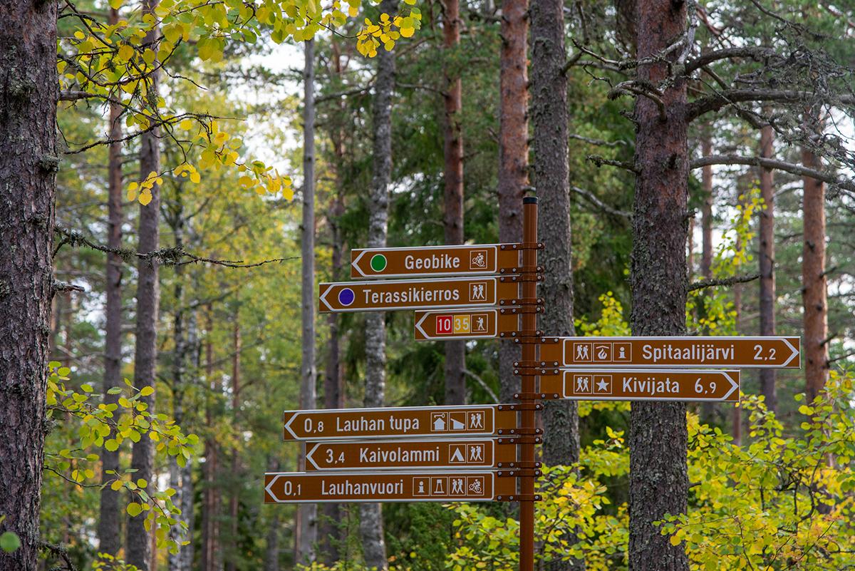 Opaskyltit reiteille ruskaisessa metsässä. Kylteistä näkee että esimerkiksi Spitaalijärvelle on matkaa 2,2 km ja Kivijadalle 6,9 km.