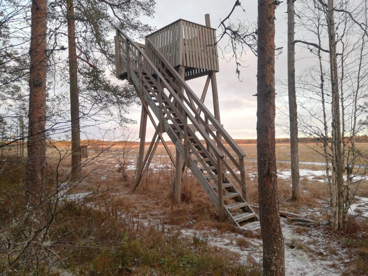 Suksenjärven lintutorni sijaitsee soistuneen Suksenjärven rannalla. Kuvassa puinen lintutorni, soistunut järvi, puita ja linnunpönttö.