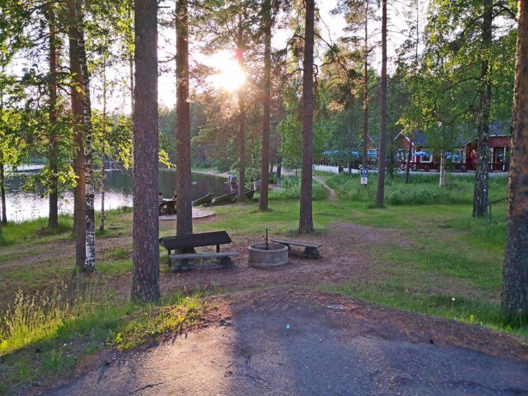 Kesäinen kuva, etualalla mäntyjä ja tulipaikka, taka-alaalla järvi ja punaisia rakennuksia.