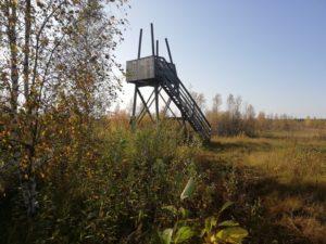Suksijärven kierrosken varrelle jää mm. soistunut Suksijärvi ja sen kaksi näkötornia. Kuvssa syksyinen maisema ja puinen näkötorni.