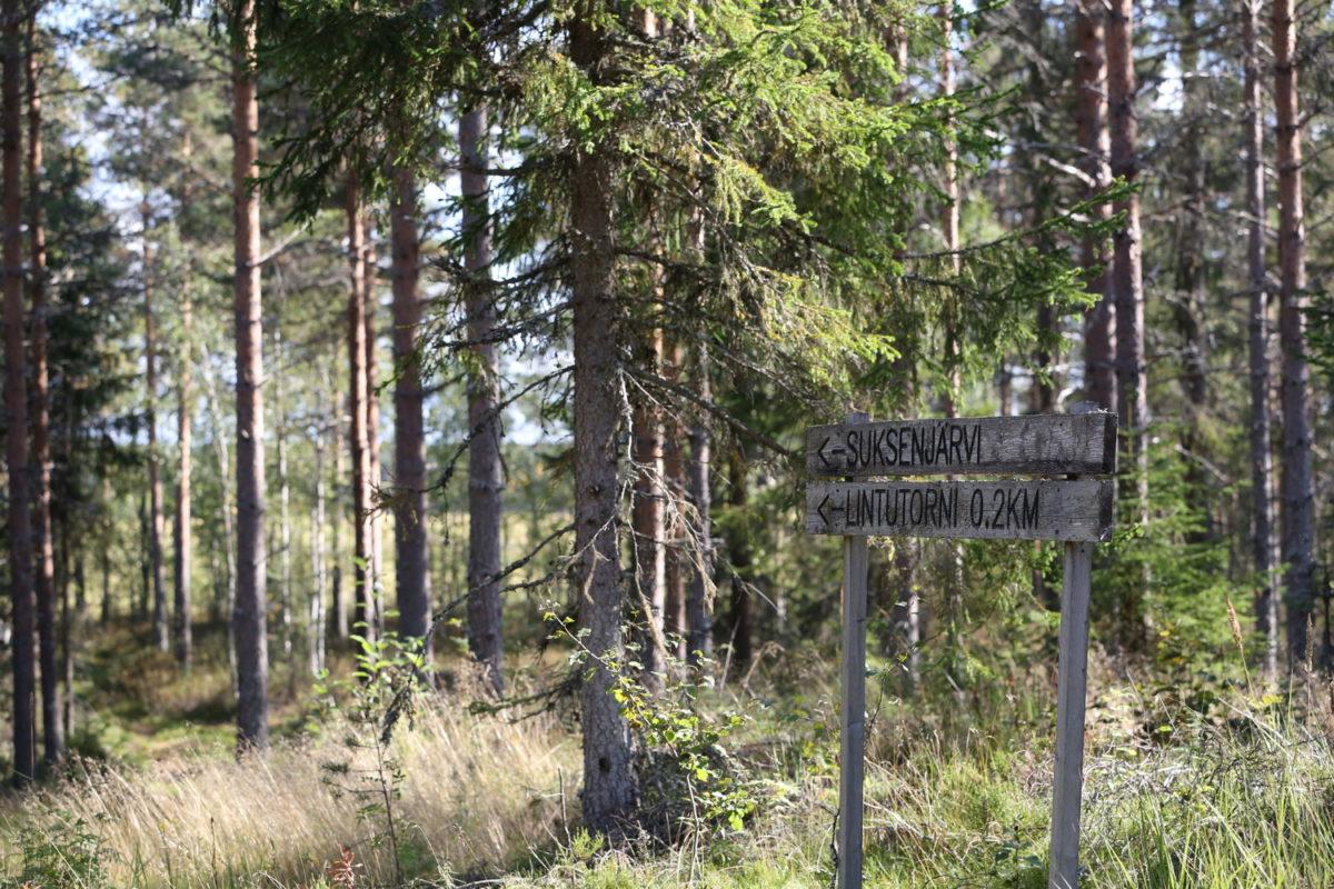 Puinen opaskyltti Suksenjärven reitin varrella, taustalla puita.