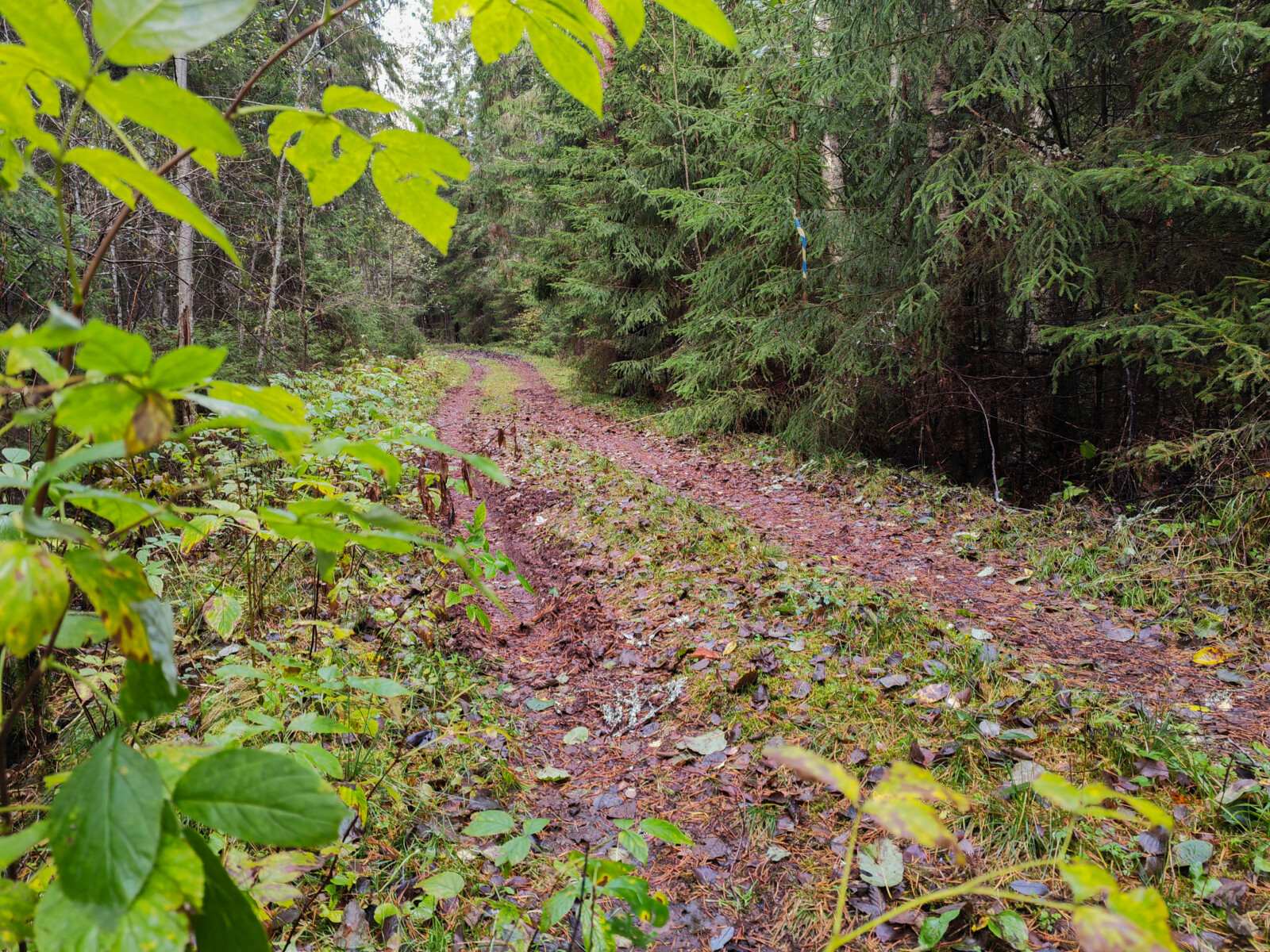 myrkyn-ladut-kuntoreitit-visit-suupohja