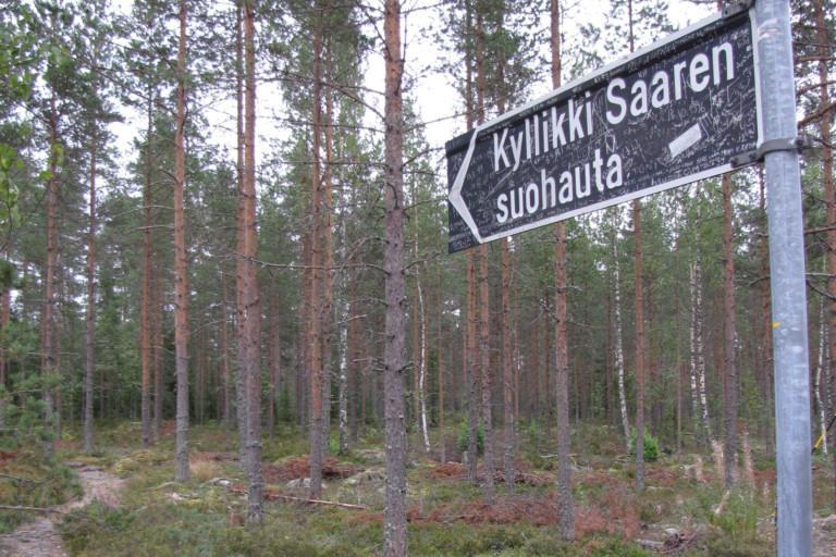 Kuva kesäisestä mäntymetsästä. Oikealla opastekyltti, jossa lukee Kyllikki Saaren suohauta.