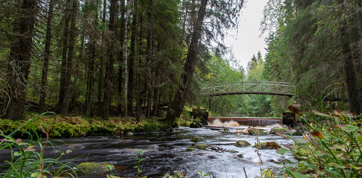 Karijoessa pieni pato, jonka yli menee valkoinen kaarisilta. Isoja kuusia kummallakin puoleella jokea.